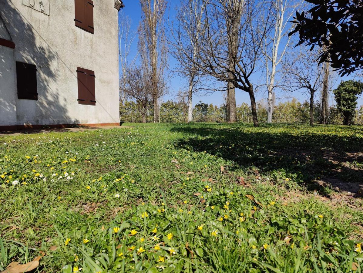 Villa Ca Degli Aironi Cittanova  Exterior foto