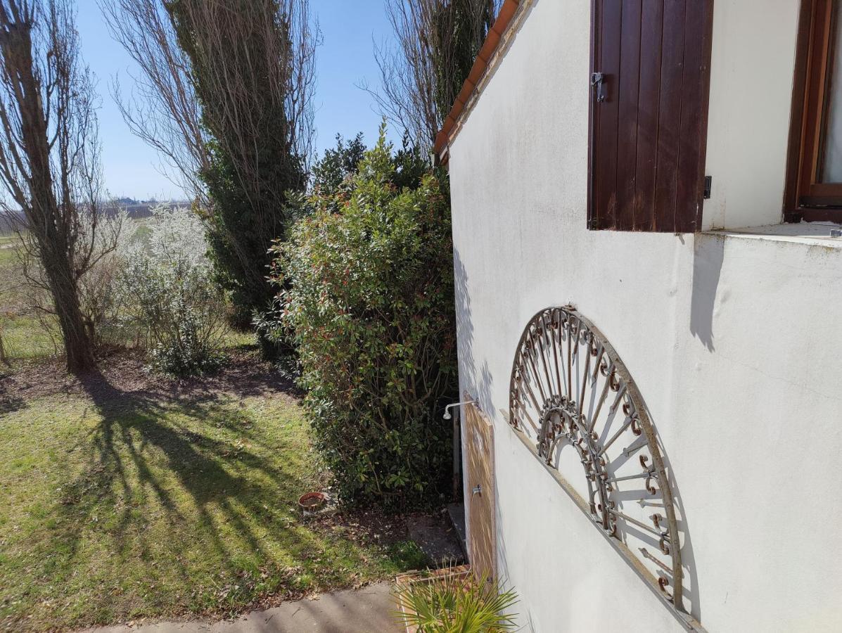 Villa Ca Degli Aironi Cittanova  Exterior foto