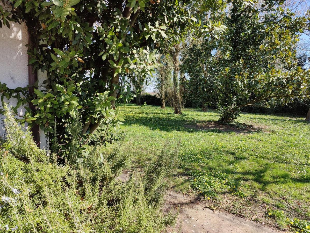 Villa Ca Degli Aironi Cittanova  Exterior foto
